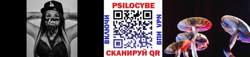 Галлюциногенные грибы мицелий  Новороссийск 
